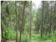 6 Crestridge Cres, Oxenford QLD 4210