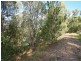 13 Bellona Crt, Pacific Pines QLD 4211