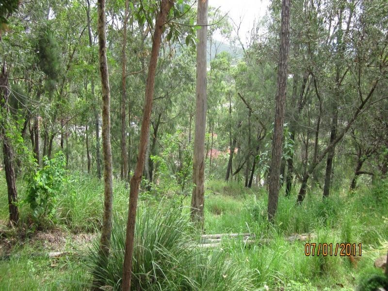 6 Crestridge, Oxenford QLD 4210