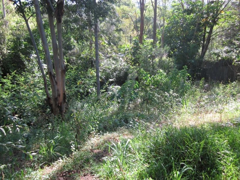 29 Quigan Tce, Highland Park QLD 4211