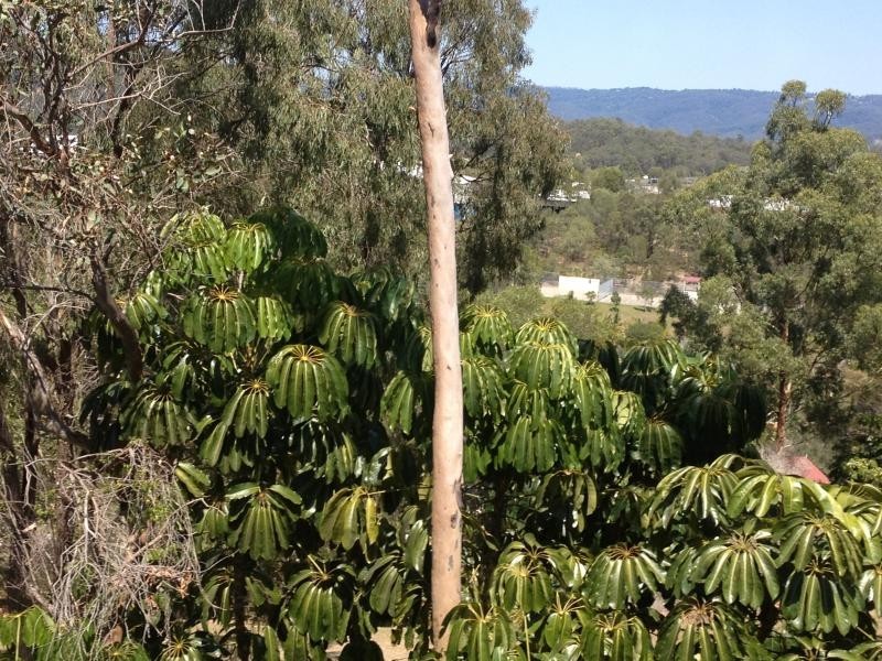 1024/6 Crestridge, Oxenford QLD 4210