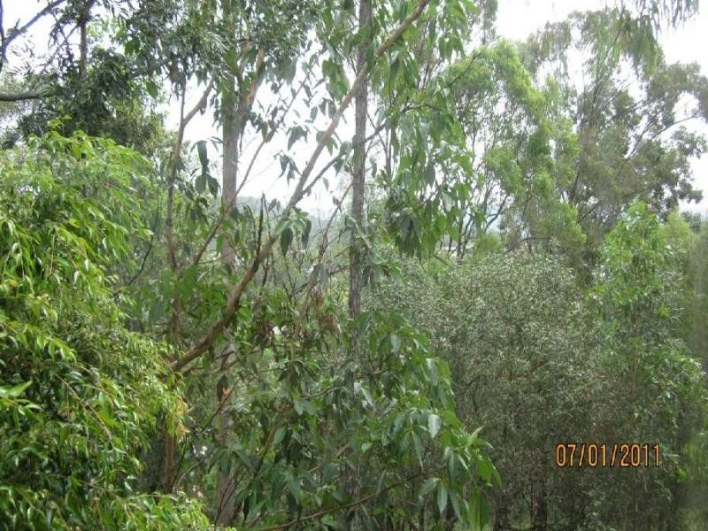 6 Crestridge Cres, Oxenford QLD 4210