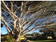 Hope Island QLD 4212