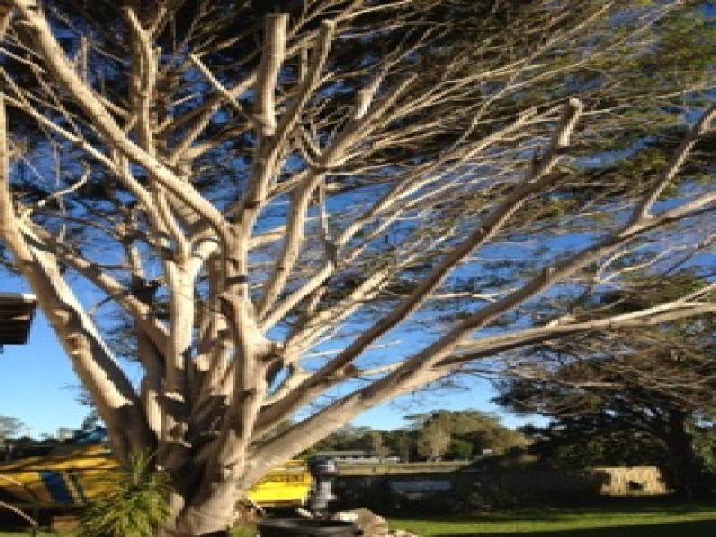 Hope Island QLD 4212