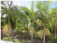 3 Marina Cres, Runaway Bay QLD 4216