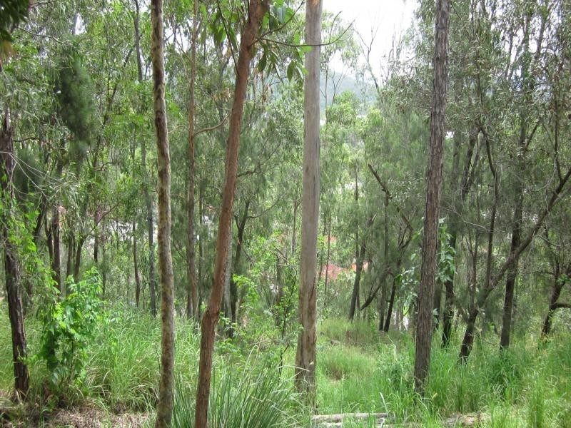 6 Crestridge Cres, Oxenford QLD 4210