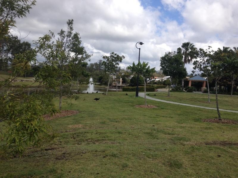 17 Rainlilly Cres, Upper Coomera QLD 4209