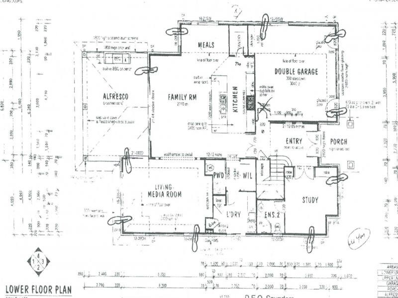 17 Rainlilly Cres, Upper Coomera QLD 4209
