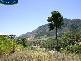 Lot 172 East Parkridge Drive, Whitfield QLD 4870