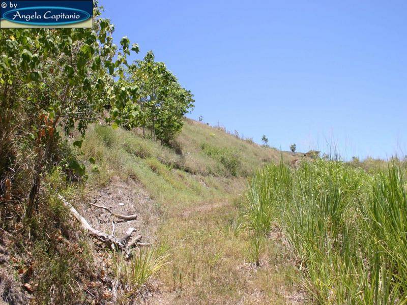 Lot 172 East Parkridge Drive, Whitfield QLD 4870