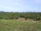 Lot 11 Barretts Creek Road, Cooktown QLD 4895