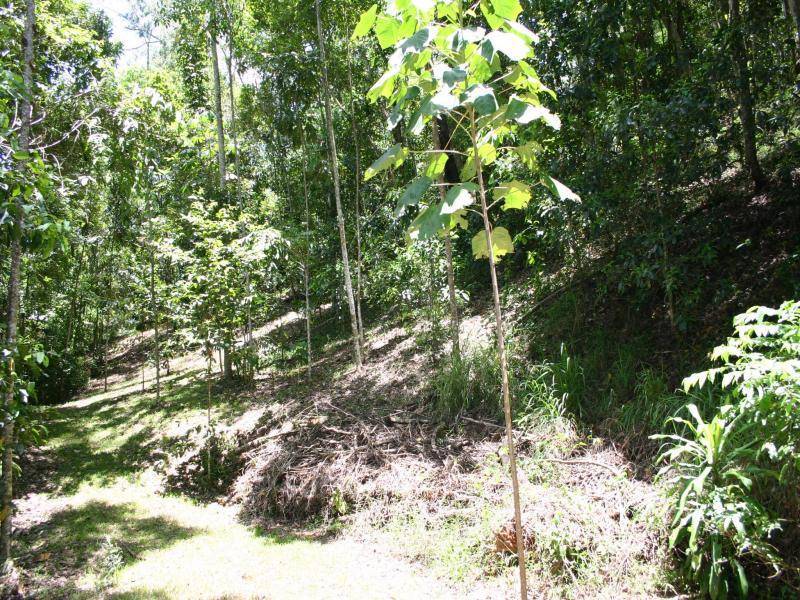 2 Melchiori Close, Edmonton QLD 4869