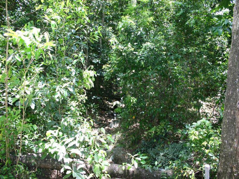 2 Melchiori Close, Edmonton QLD 4869