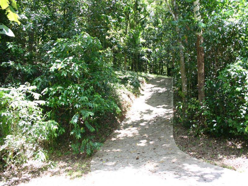 2 Melchiori Close, Edmonton QLD 4869