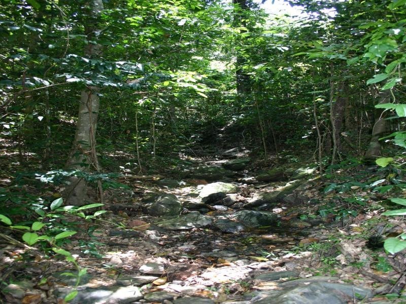 2 Melchiori Close, Edmonton QLD 4869