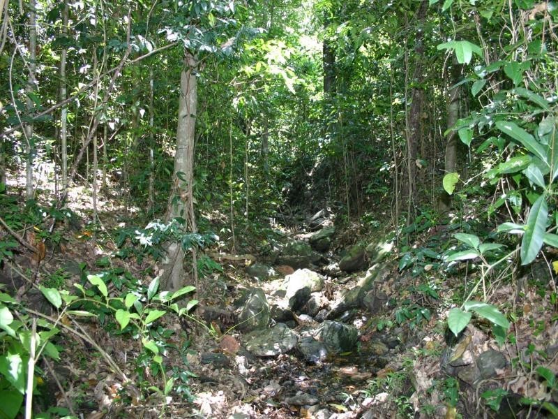 2 Melchiori Close, Edmonton QLD 4869