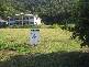 5 Calamus Court, Palm Cove QLD 4879