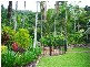 5 Crest Close, Bayview Heights QLD 4868