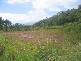 Lot 37 Sunbird Close, Woree QLD 4868