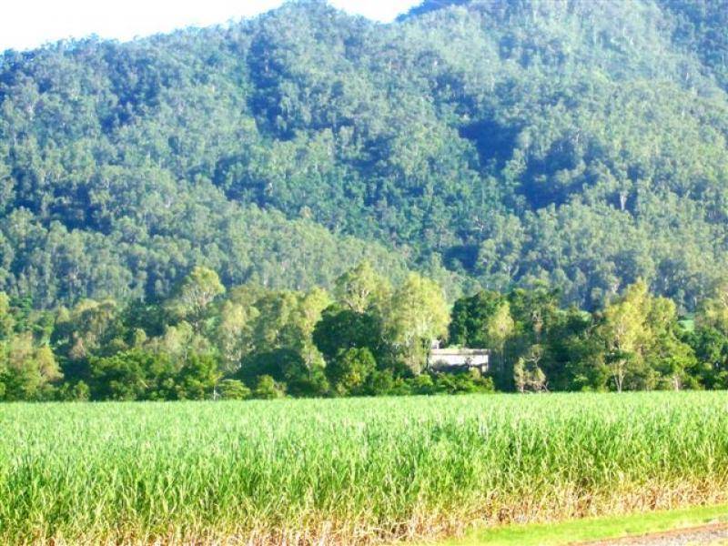 Lot 50 Mt Peter Road, Edmonton QLD 4869