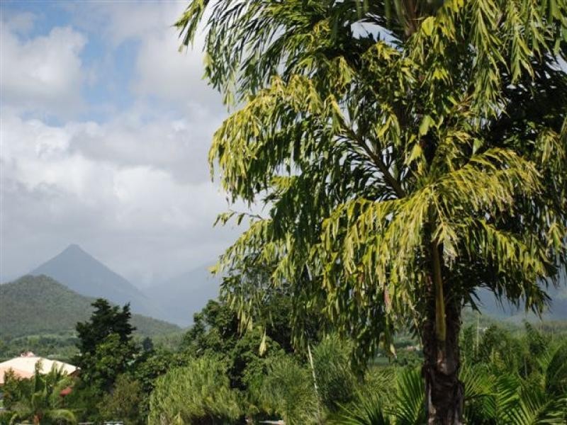 6 Guthrie Close, Bentley Park QLD 4869