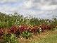 Lot 230 Etty Bay, Etty Bay QLD 4858