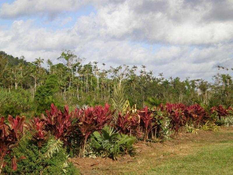 Lot 230 Etty Bay, Etty Bay QLD 4858