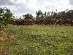 Lot 230 Etty Bay, Etty Bay QLD 4858