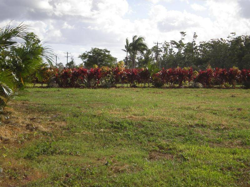 Lot 230 Etty Bay, Etty Bay QLD 4858