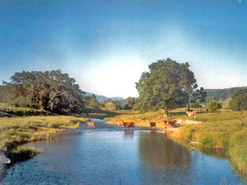 2-5-6-9 Douglas Creek Road, Daintree QLD 4873