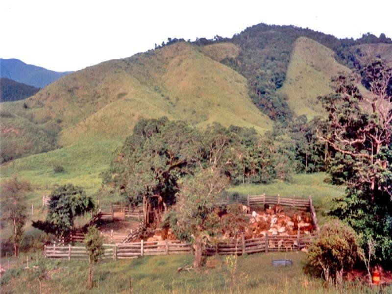 2-5-6-9 Douglas Creek Road, Daintree QLD 4873