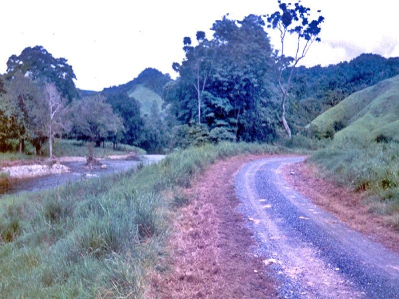 2-5-6-9 Douglas Creek Road, Daintree QLD 4873