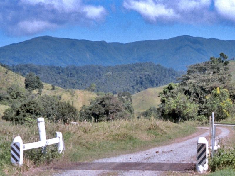 2-5-6-9 Douglas Creek Road, Daintree QLD 4873