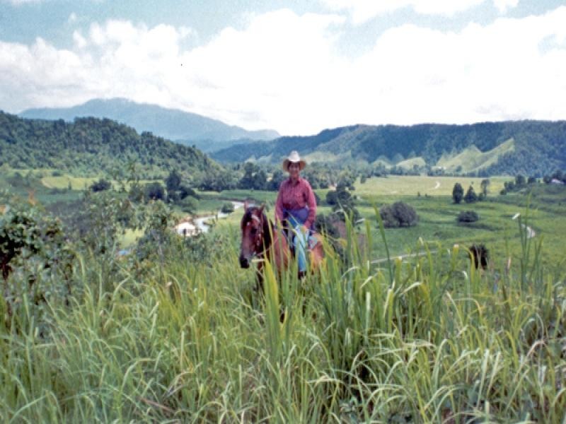 2-5-6-9 Douglas Creek Road, Daintree QLD 4873