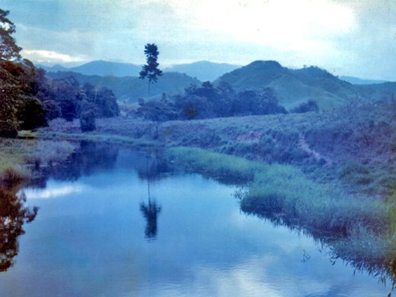 2-5-6-9 Douglas Creek Road, Daintree QLD 4873