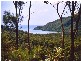 Lot 233 White Beech Road, Cow Bay QLD 4873