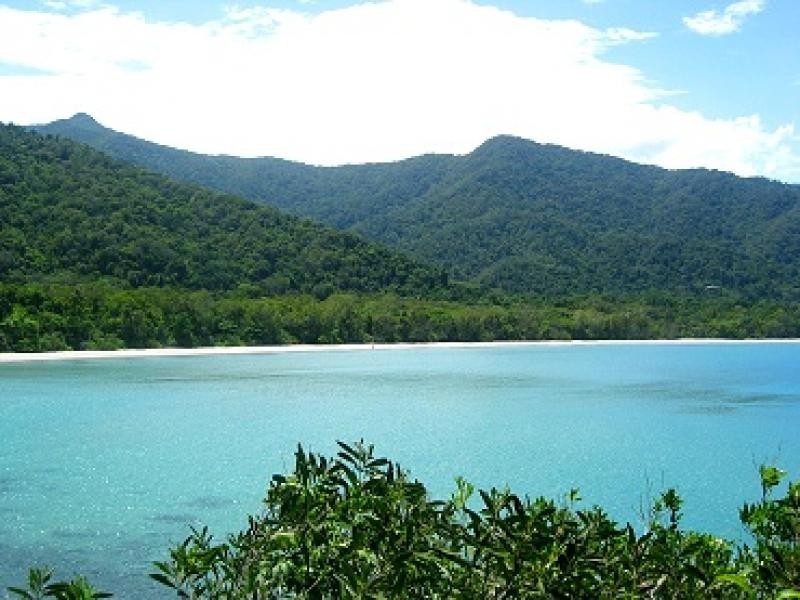 Lot 233 White Beech Road, Cow Bay QLD 4873