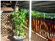274 Robert Road, Bentley Park QLD 4869