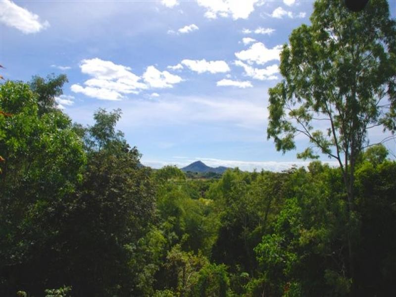 12 Fig Tree Drive, Caravonica QLD 4878