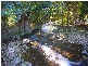 Lot 12 Harvey Creek Road, Deeral QLD 4871