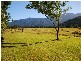 Lot 12 Harvey Creek Road, Deeral QLD 4871