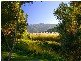 Lot 12 Harvey Creek Road, Deeral QLD 4871