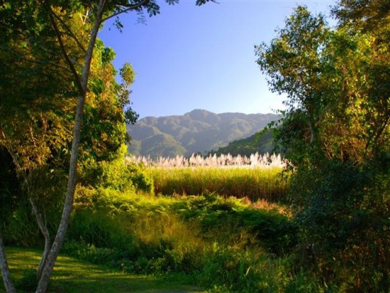 Lot 12 Harvey Creek Road, Deeral QLD 4871
