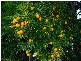 Lot 12 Harvey Creek Road, Deeral QLD 4871