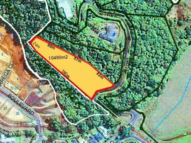 Lot 212 Fig Tree Drive, Caravonica QLD 4878