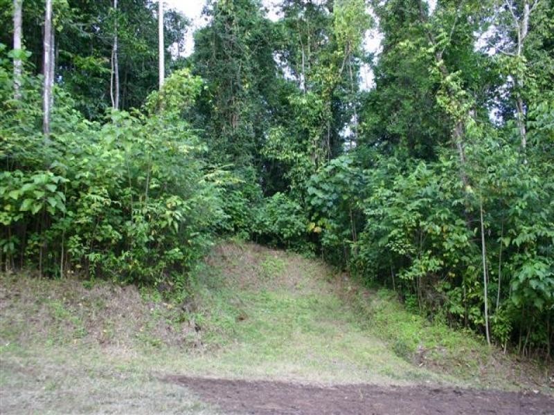 Lot 212 Fig Tree Drive, Caravonica QLD 4878