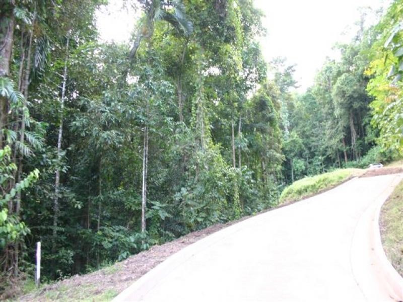 Lot 212 Fig Tree Drive, Caravonica QLD 4878