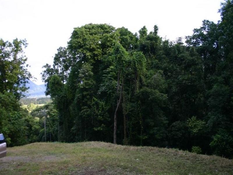 Lot 212 Fig Tree Drive, Caravonica QLD 4878