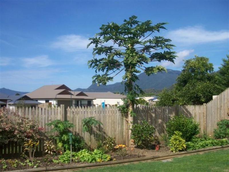 4 Bambusa Terrace, Mount Sheridan QLD 4868