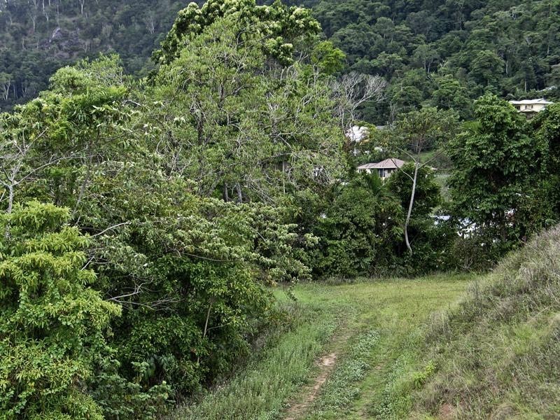 82 Summer Hill Drive, Cairns QLD 4870